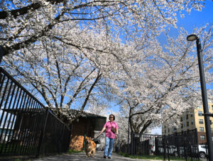 This Week in Photos (03/22 - 03/28)